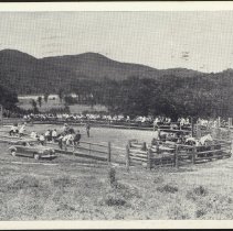 2017.019.002.03-0036